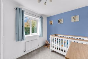 Photo 21- click for photo gallery